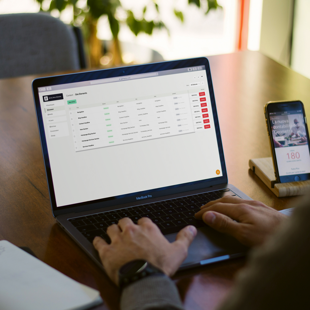 Birkly Admin Interface